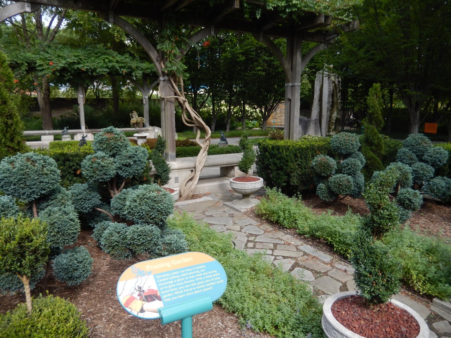 8/17/2020 - Pruning Garden