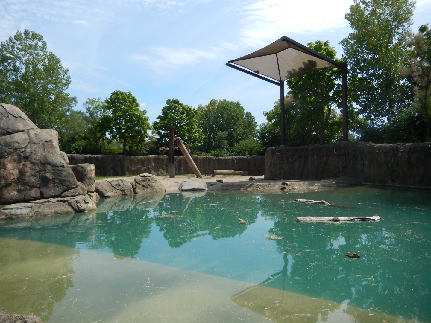 8/17/2020 - Smaller African Elephant Habitat