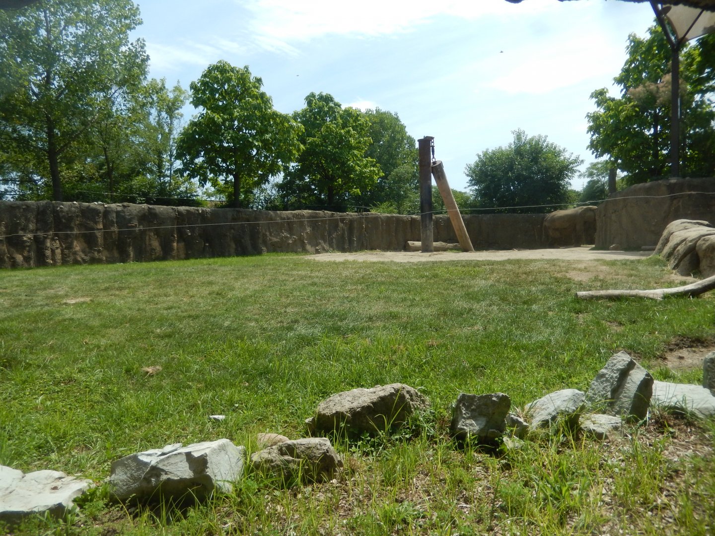 8/17/2020 - Smaller African Elephant Habitat