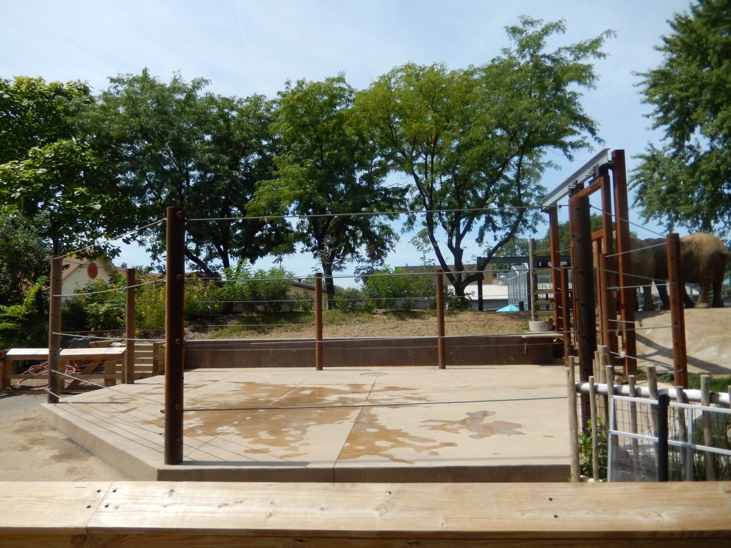 8/17/2020 - Tembo Camp - Demo Yard