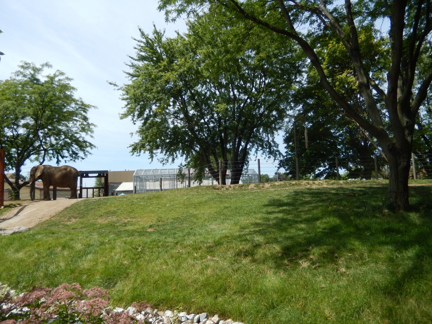 8/17/2020 - Tembo Camp - Left Half