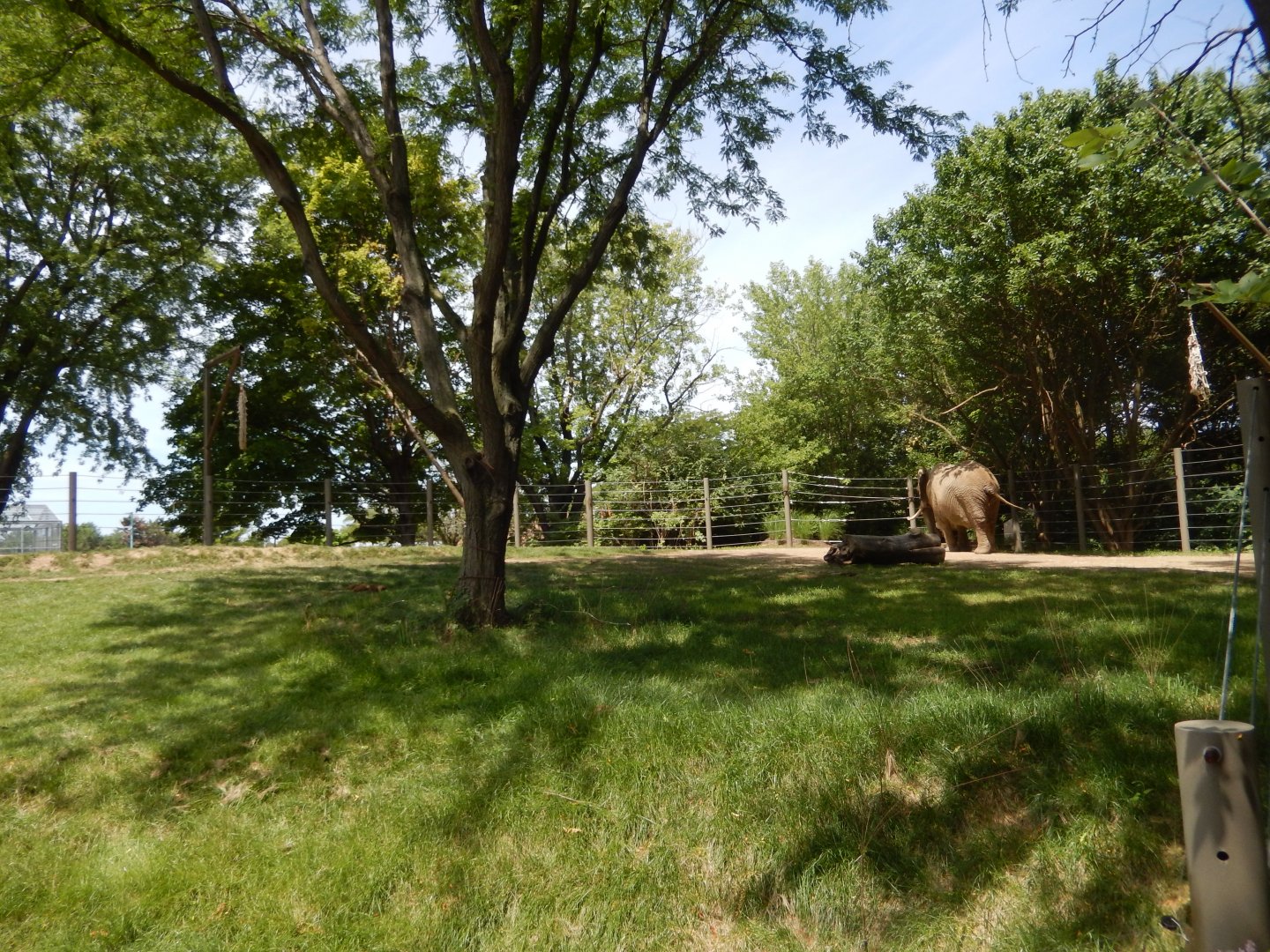 8/17/2020 - Tembo Camp - Right Half