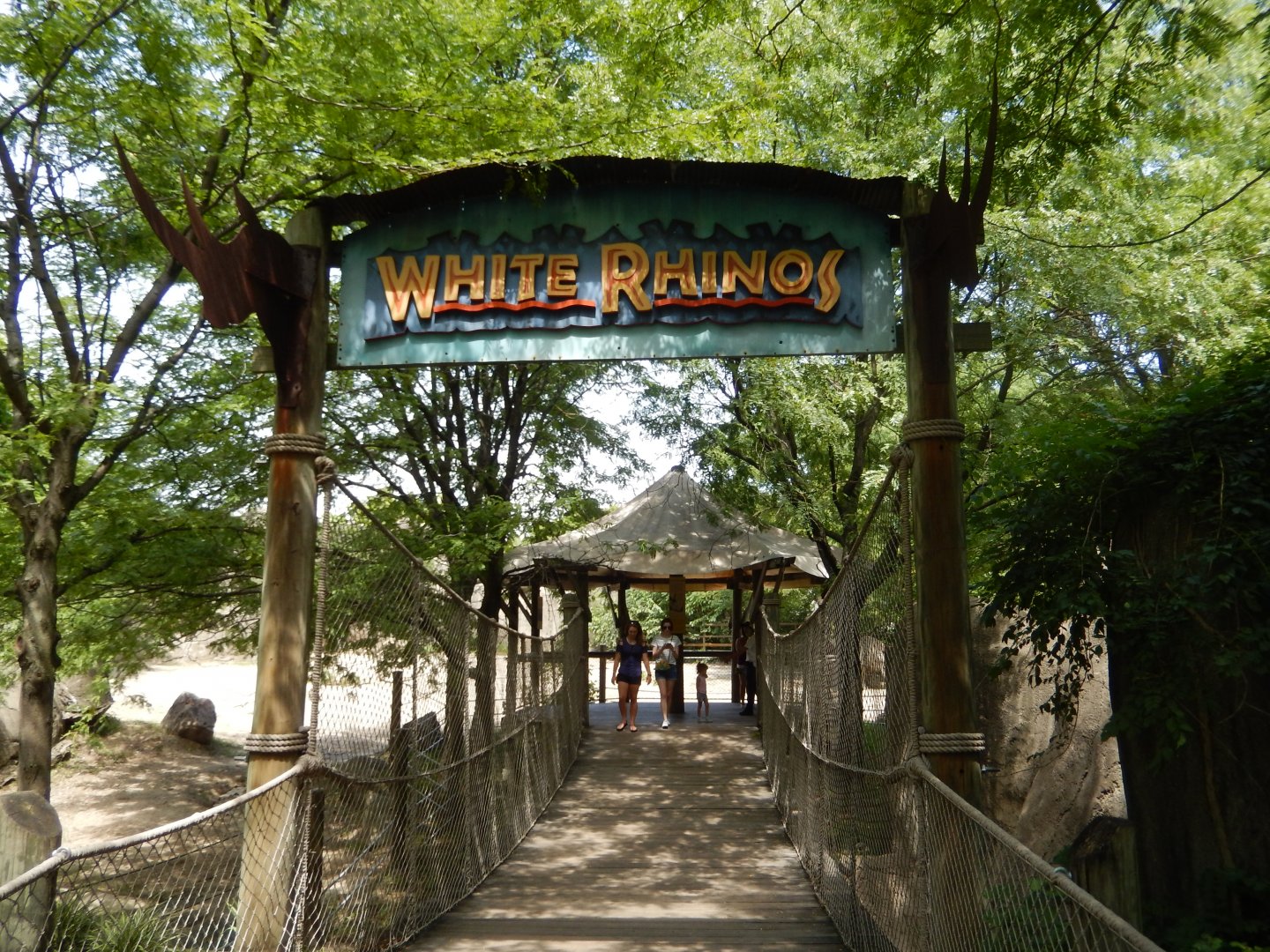 8/17/2020 - White Rhino Habitat - Bridge to Center Gazebo