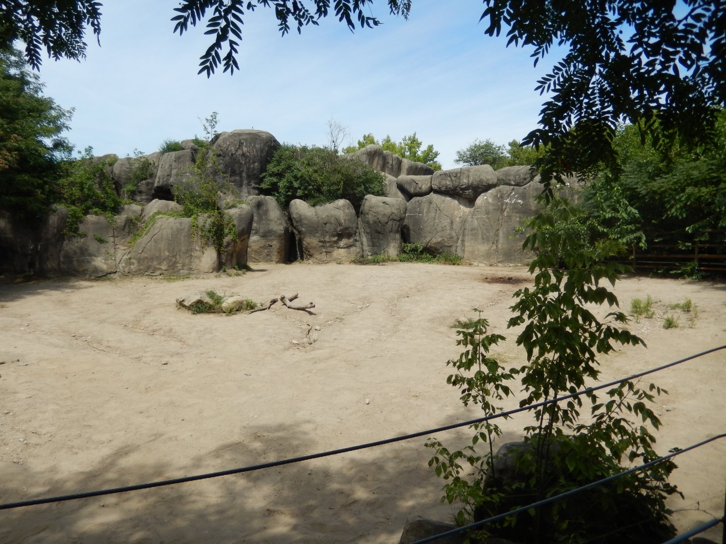 8/17/2020 - White Rhino Habitat - Upper Portion