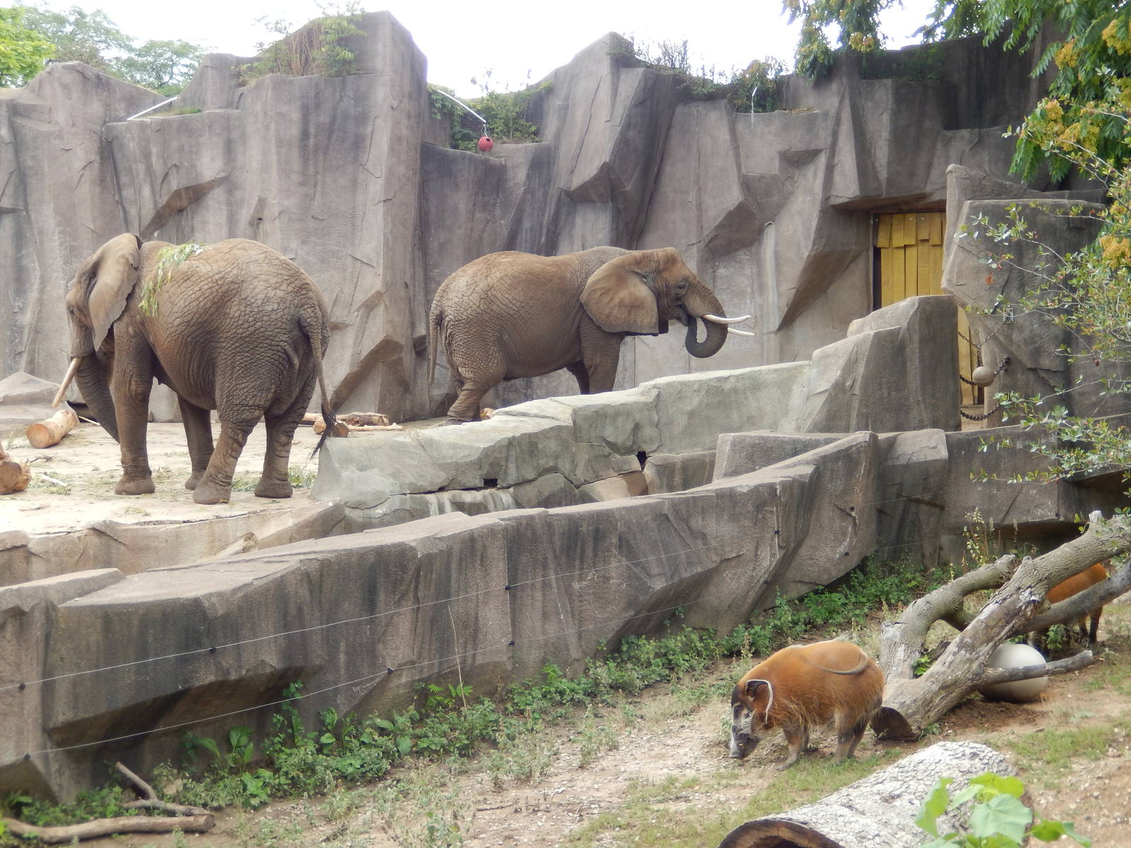 8/18/2015 - Neighbors