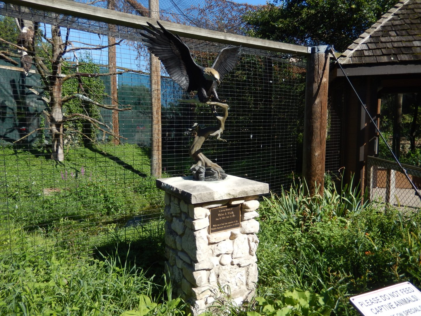 8/19/2019 - Bald Eagle Statue