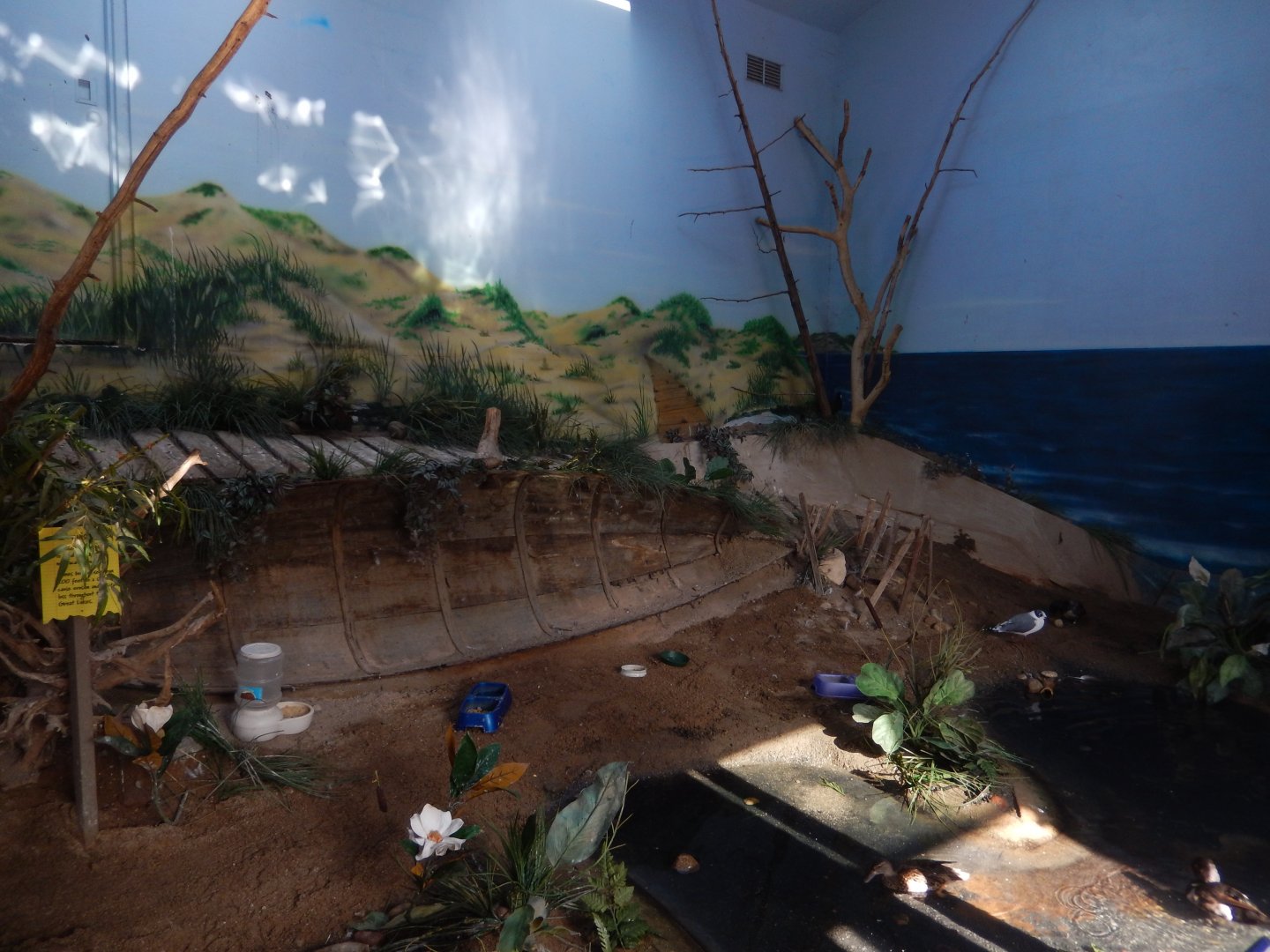 8/19/2019 - Coastal Aviary