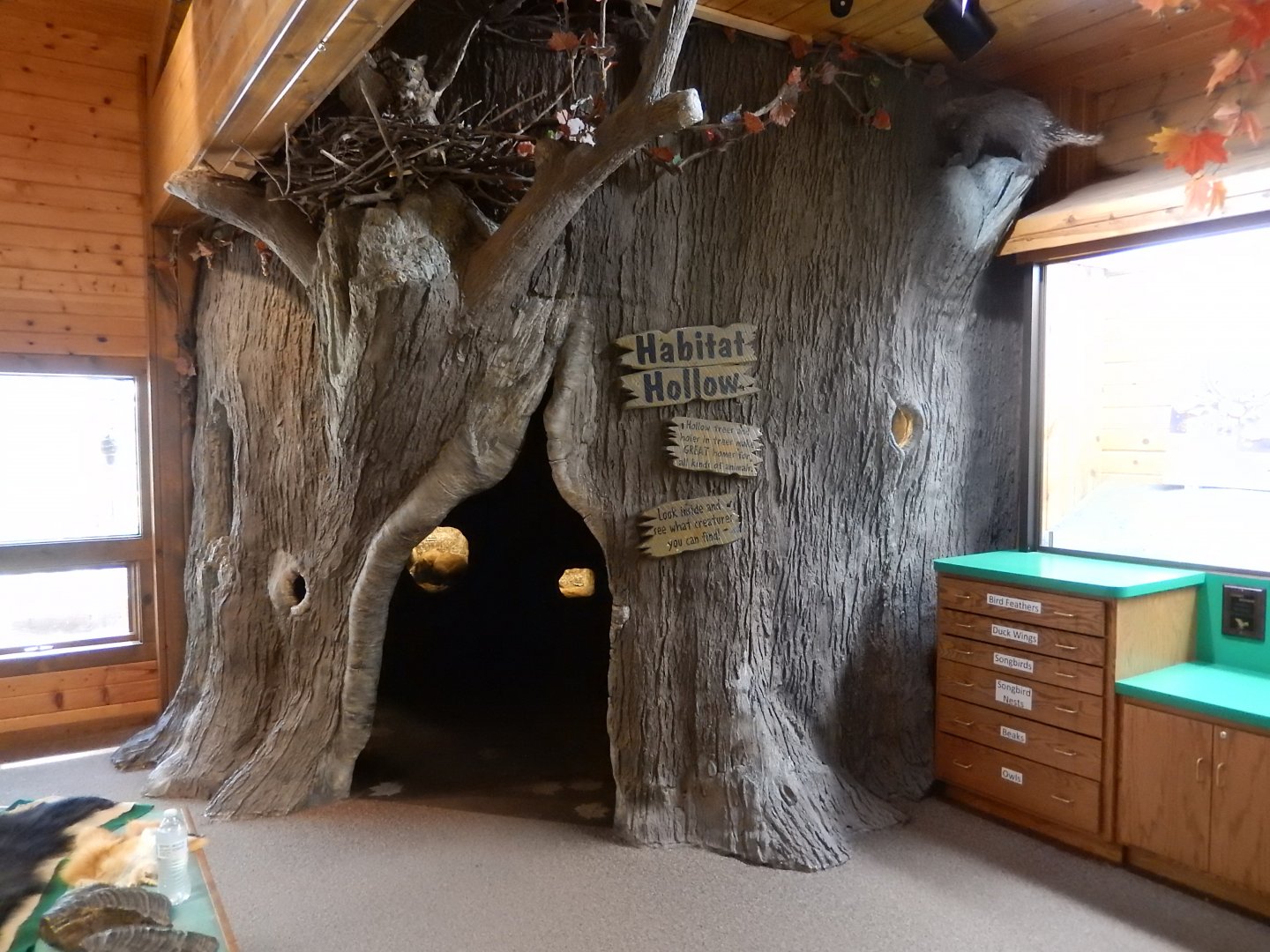 8/19/2019 - Habitat Hollow