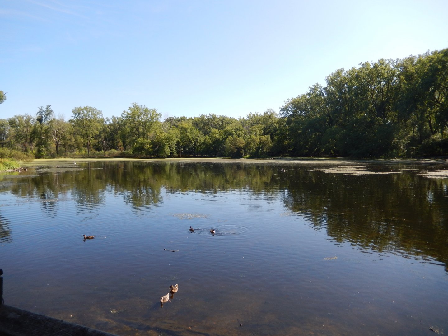 8/19/2019 - Lake View