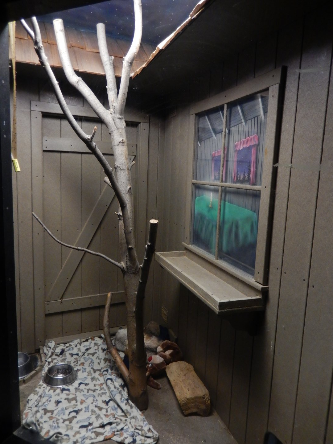 8/19/2019 - Opossum Exhibit