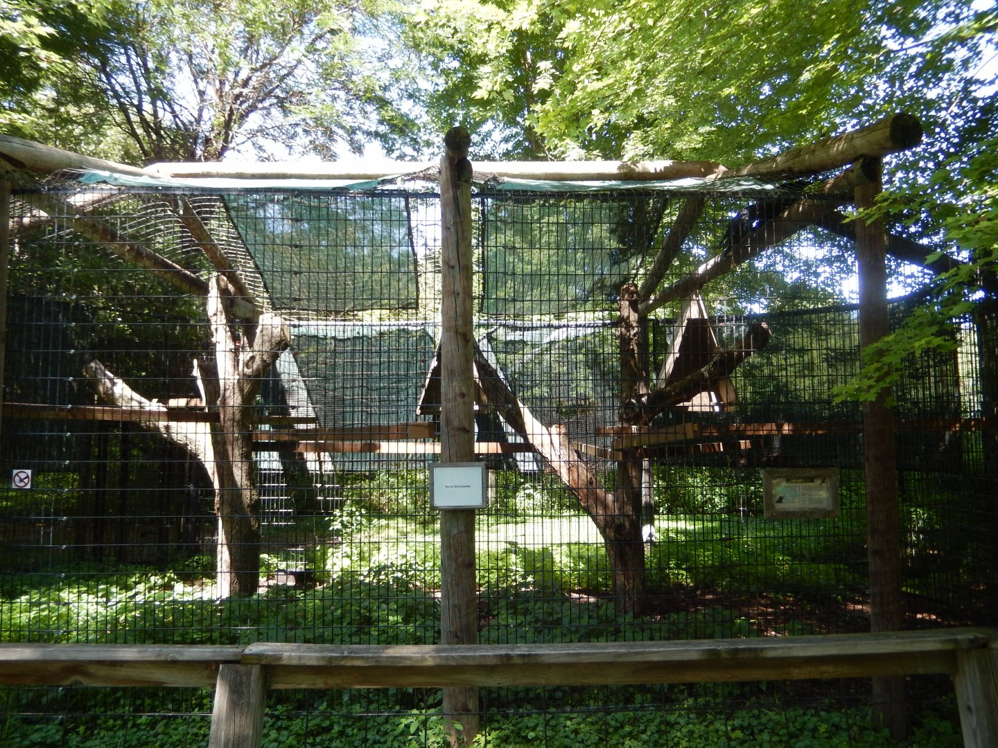 8/19/2019 - Raven Cage