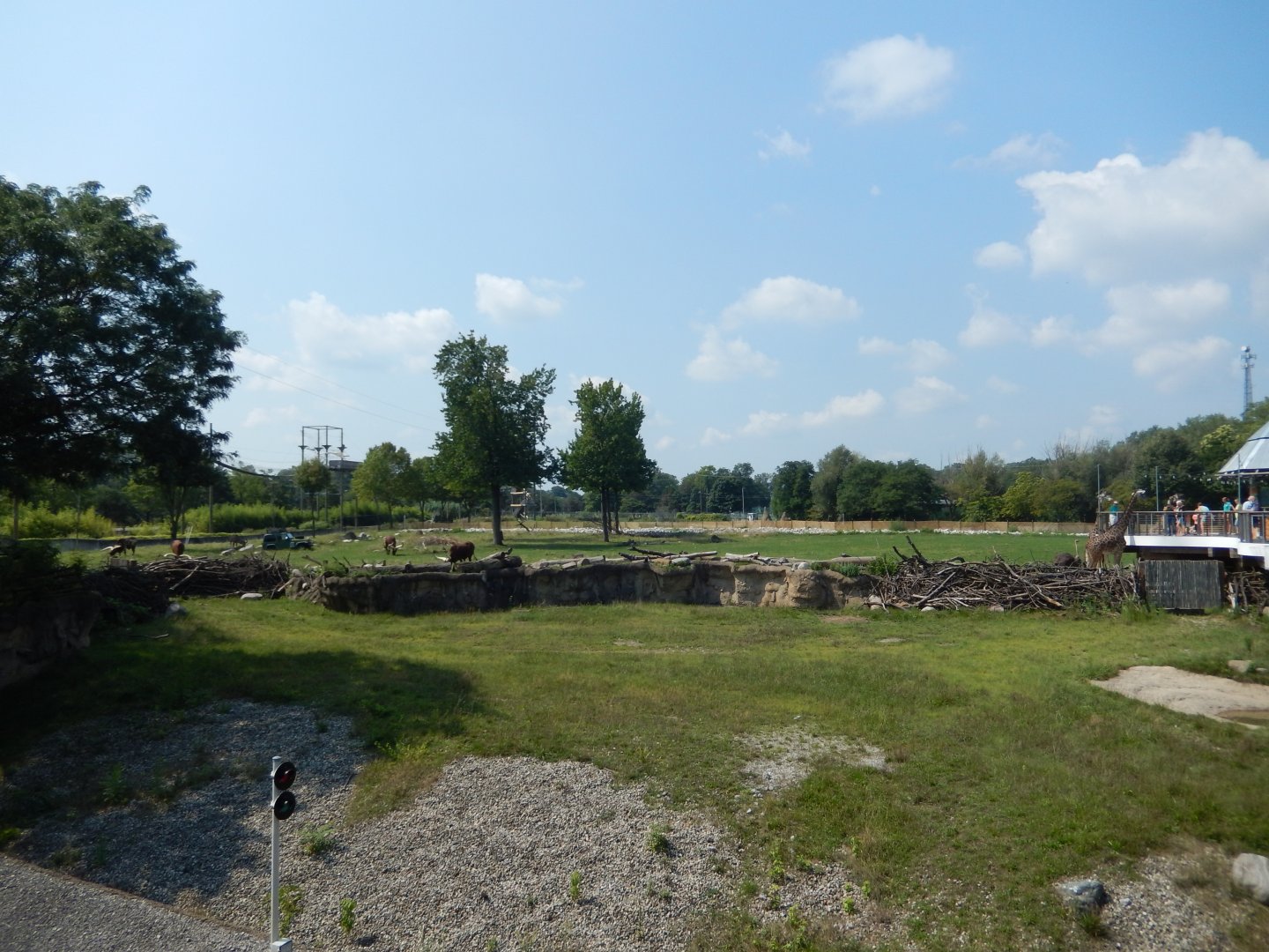 8/21/2021 - Africa! General View