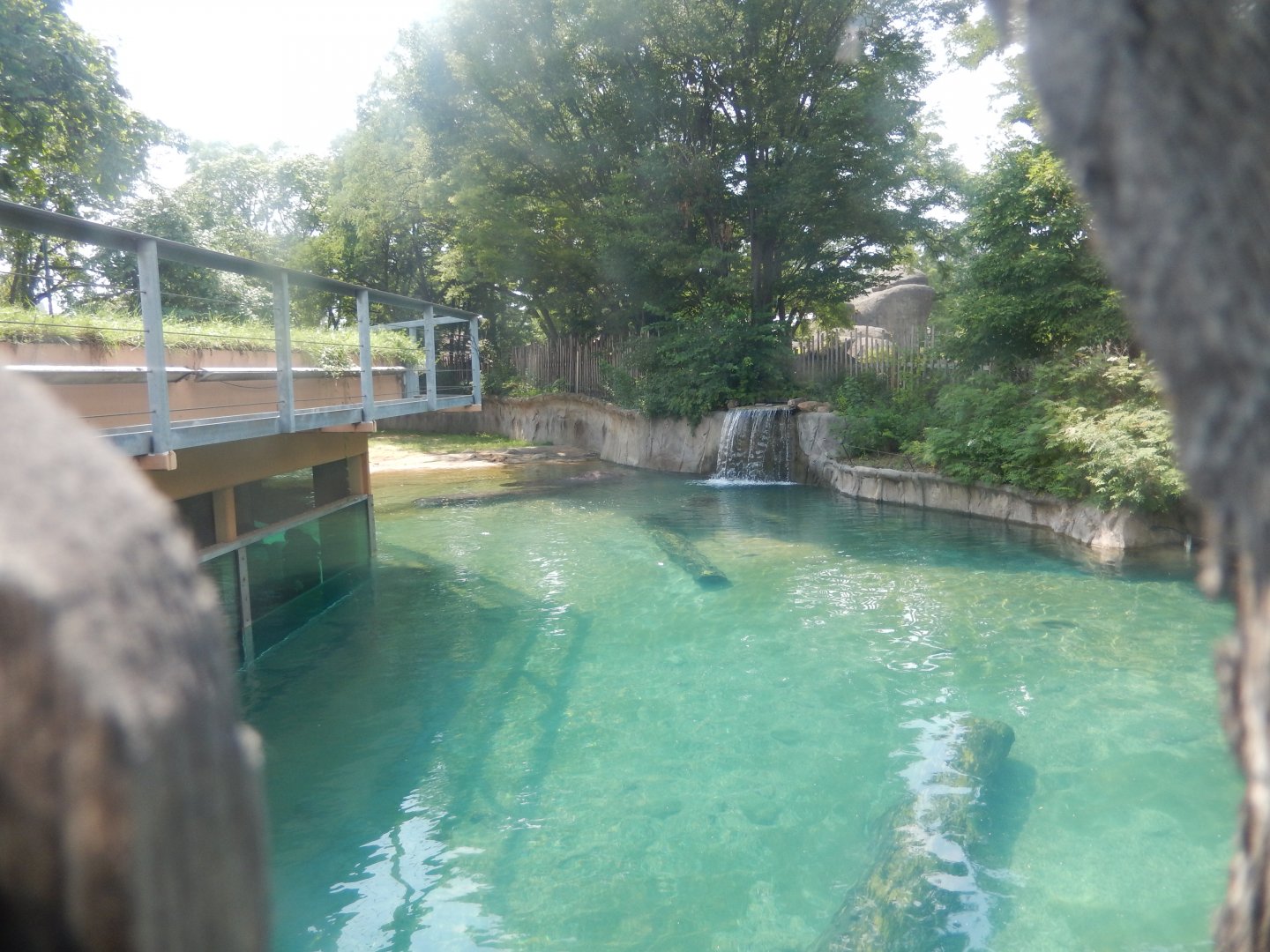 8/21/2021 - Hippoquarium - Overview