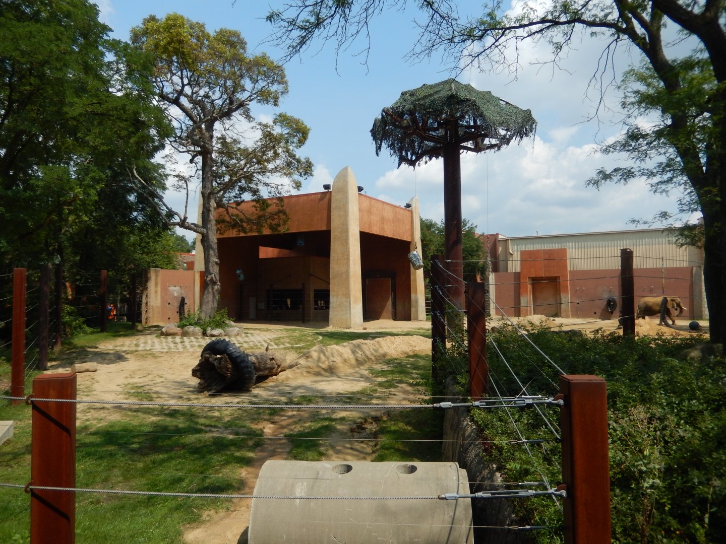 8/21/2021 - Left African Elephant Habitat