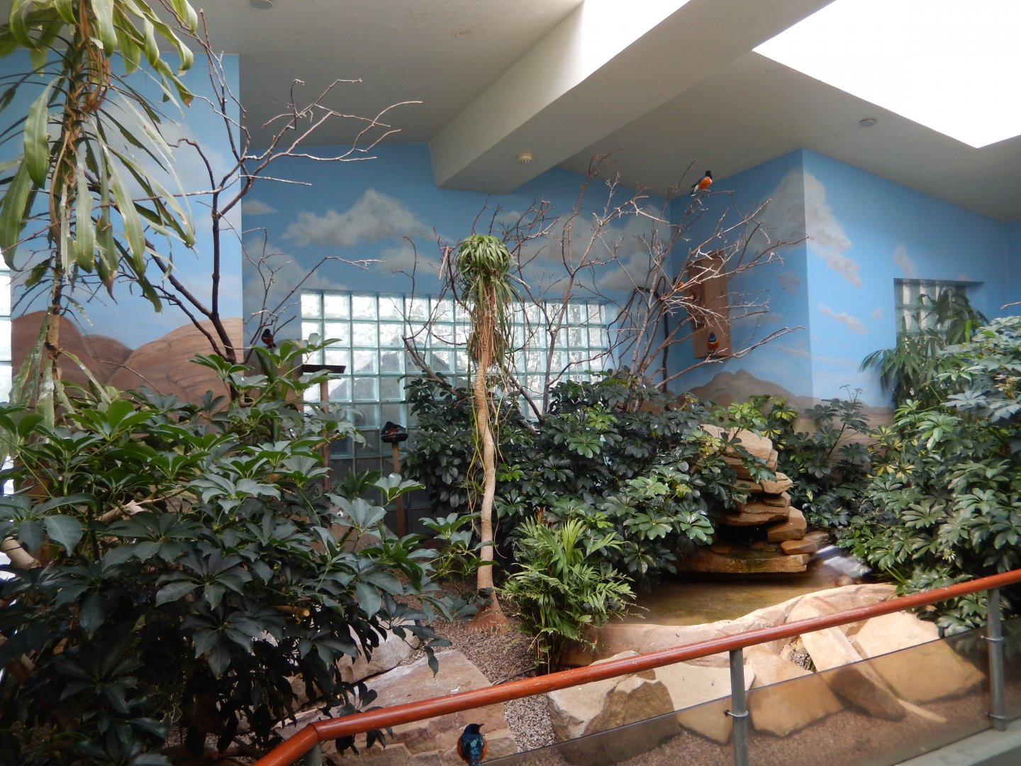 8/21/2021 - Mixed-Species Habitat