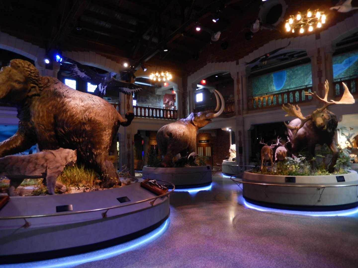 8/21/2021 - Museum Main Gallery