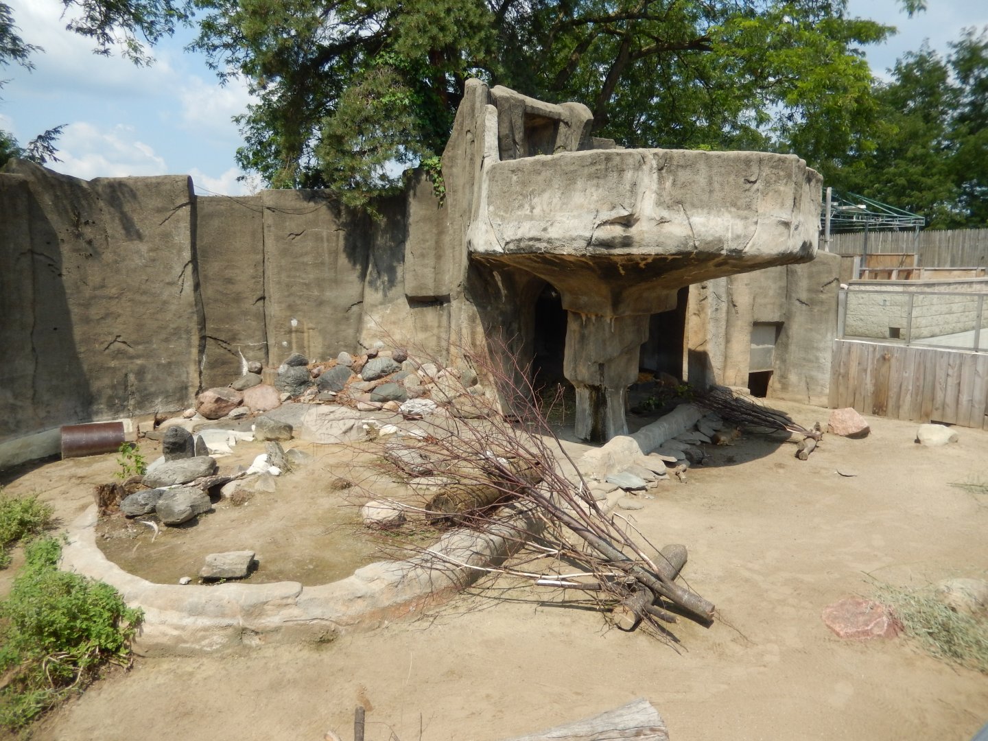 8/21/2021 - Patagonian Cavy Exhibit