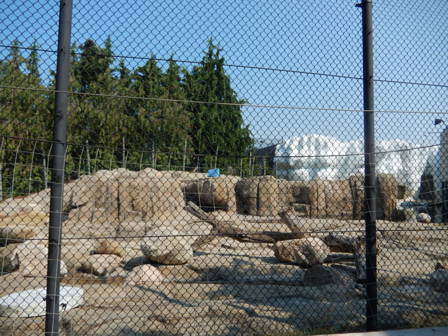 8/21/2021 - Polar Bear Habitat - Land View