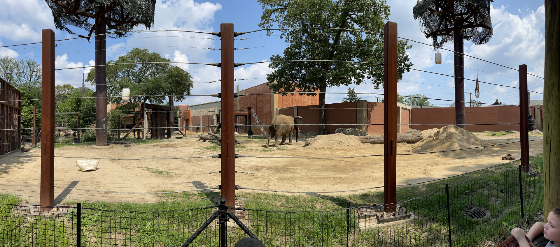8/21/2021 - Right African Elephant Habitat