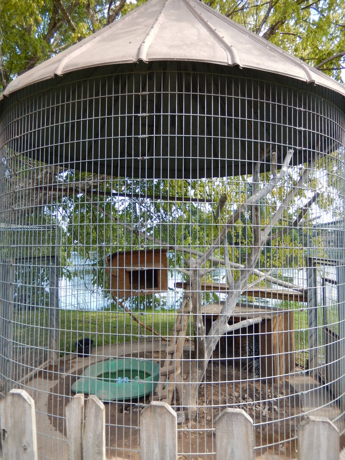 8/22/2016 - Menominee Park Zoo - African Crested Porcupine Cage