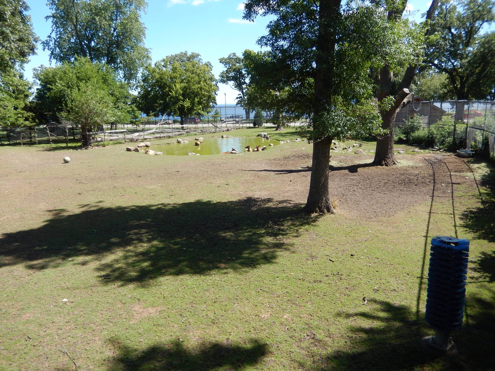 8/22/2016 - Menominee Park Zoo - Elk Habitat