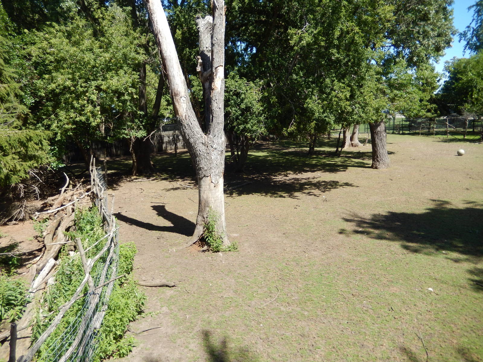 8/22/2016 - Menominee Park Zoo - Elk Habitat