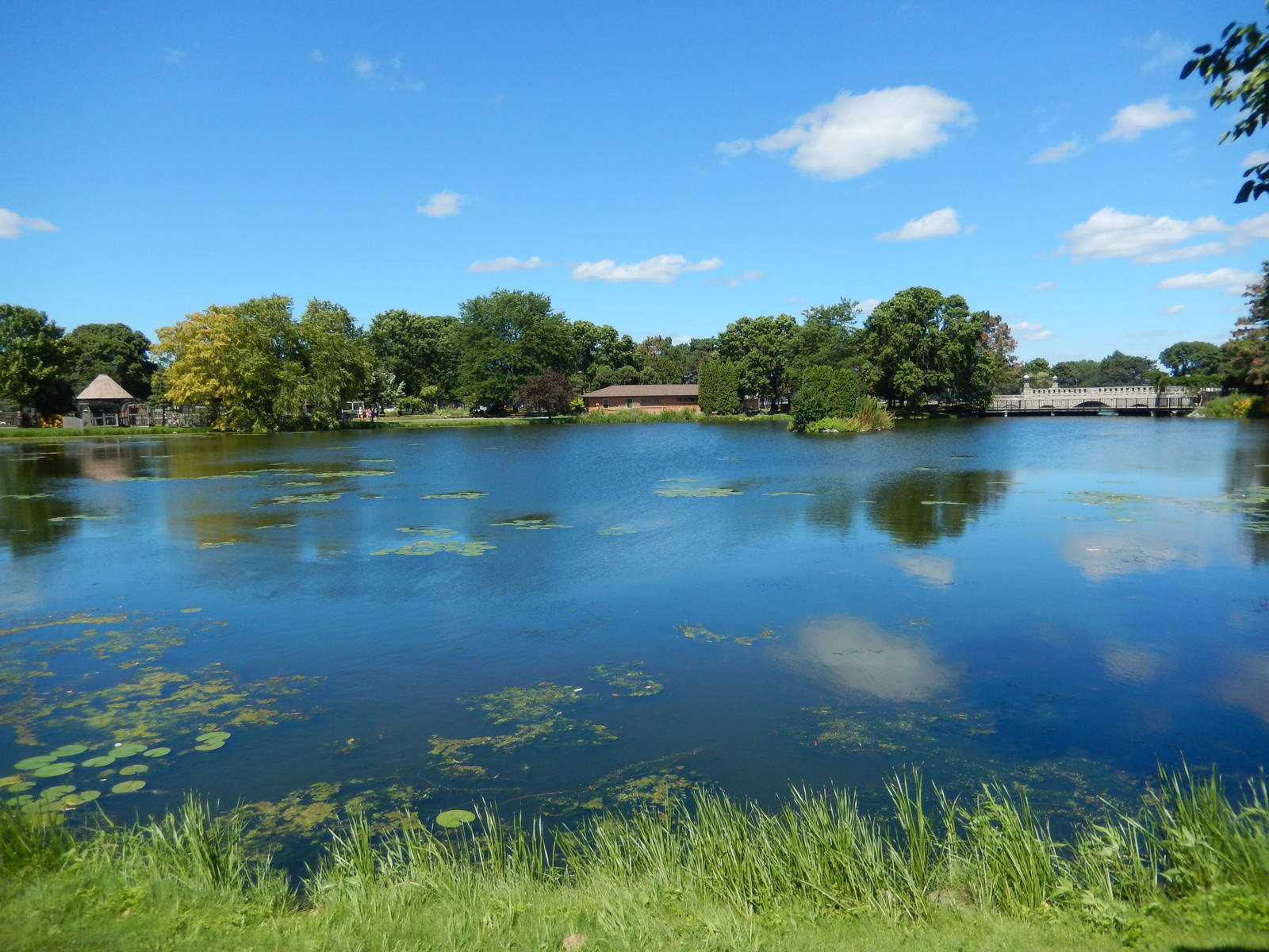 8/22/2016 - Menominee Park Zoo - Lake