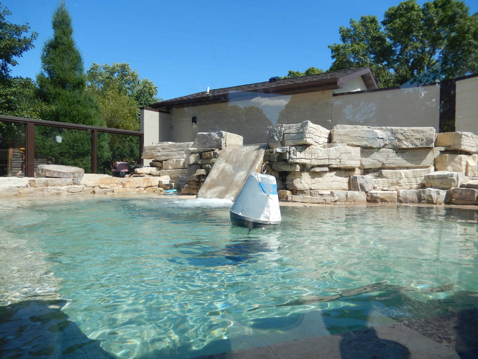 8/22/2016 - Menominee Park Zoo - River Otter Exhibit