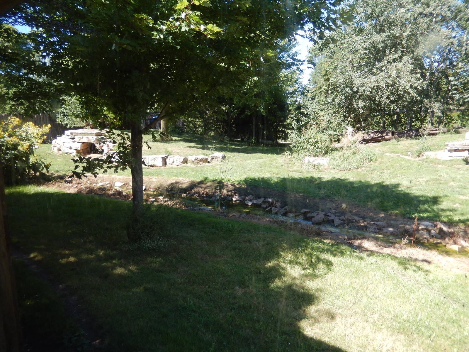 8/22/2016 - Menominee Park Zoo - Timber Wolf Habitat