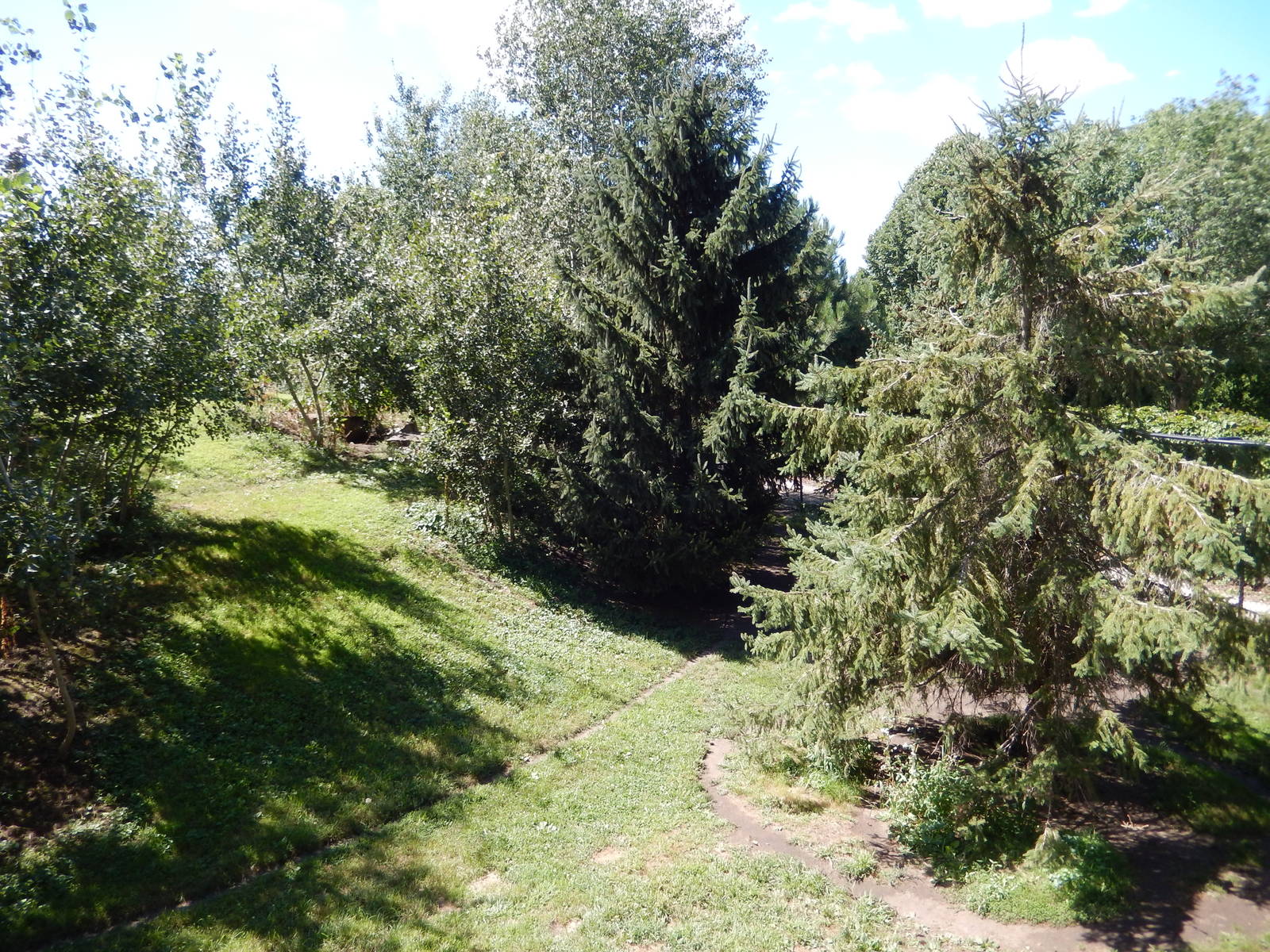 8/22/2016 - Menominee Park Zoo - Timber Wolf Habitat