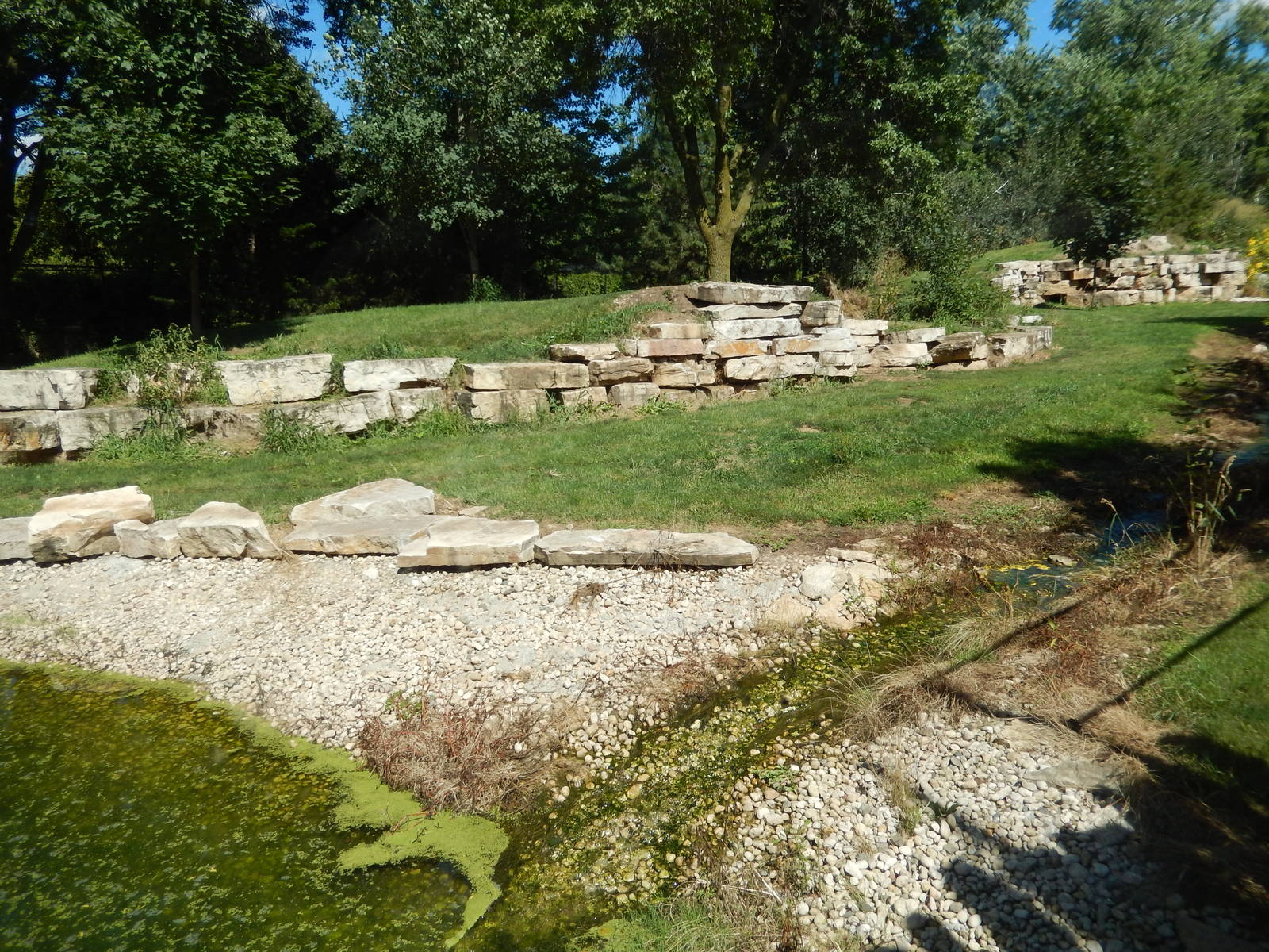 8/22/2016 - Menominee Park Zoo - Timber Wolf Habitat