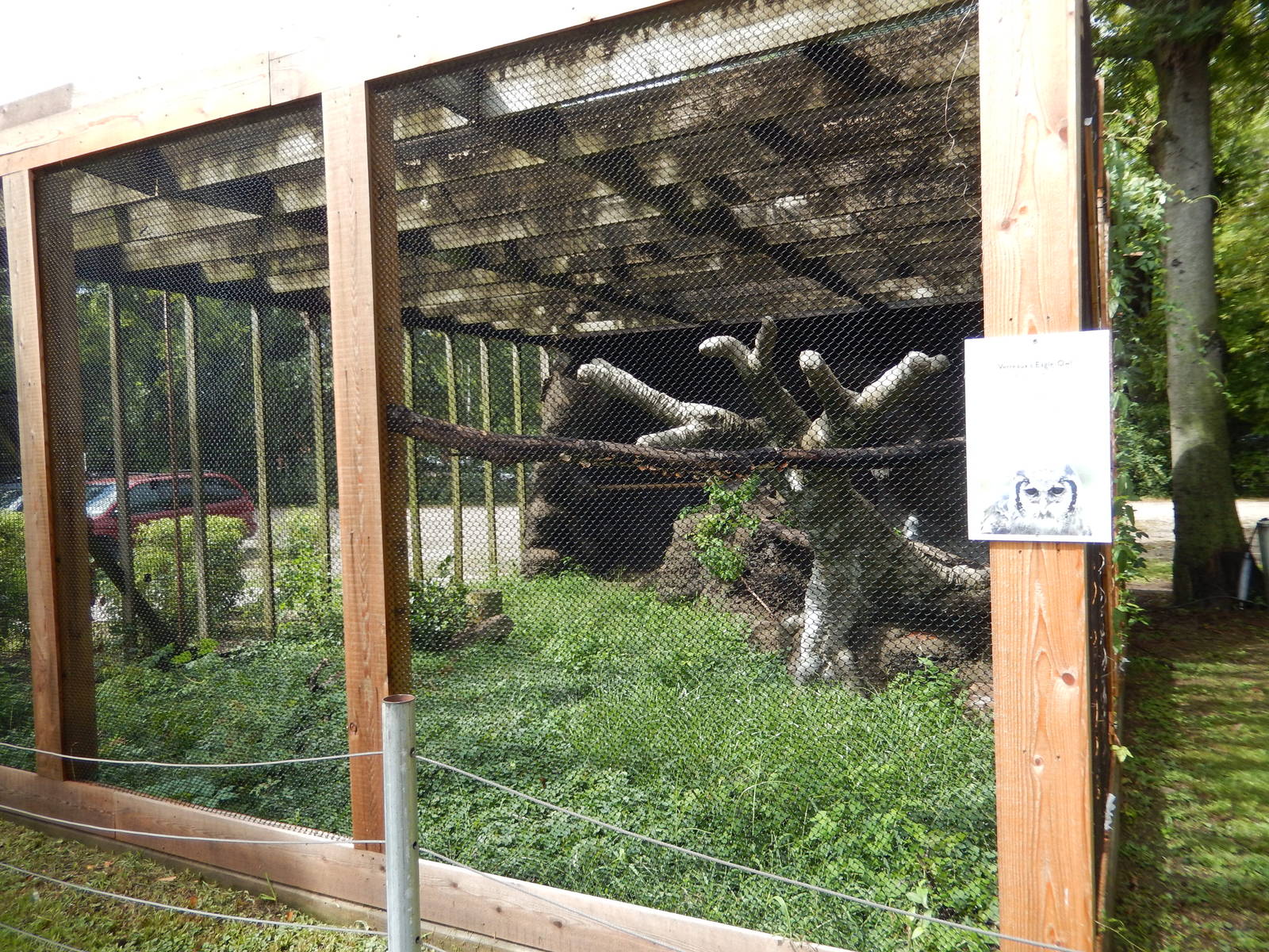 8/22/2016 - Milky Eagle Owl Aviary