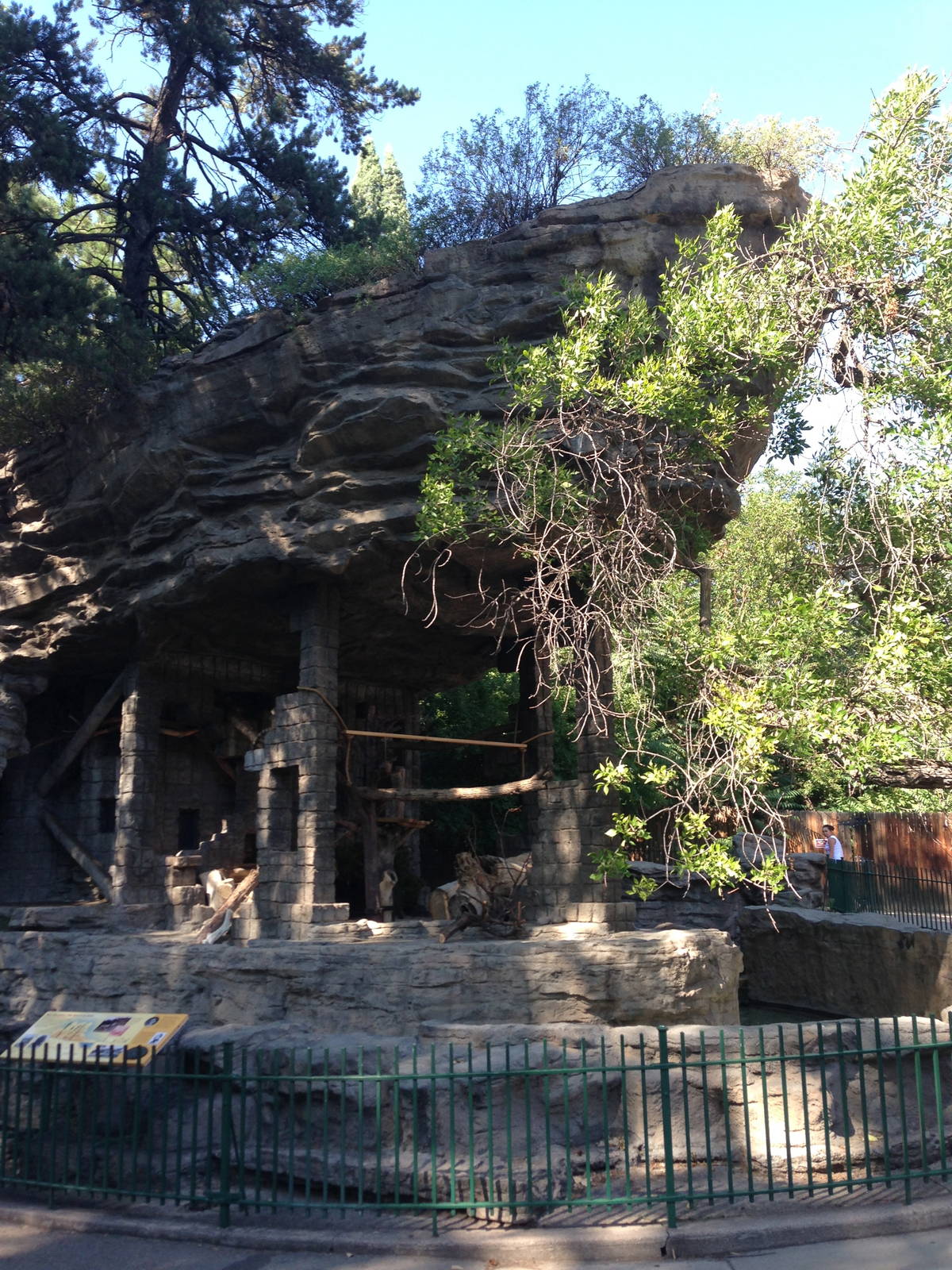 8/24/2014 - Coati Exhibit