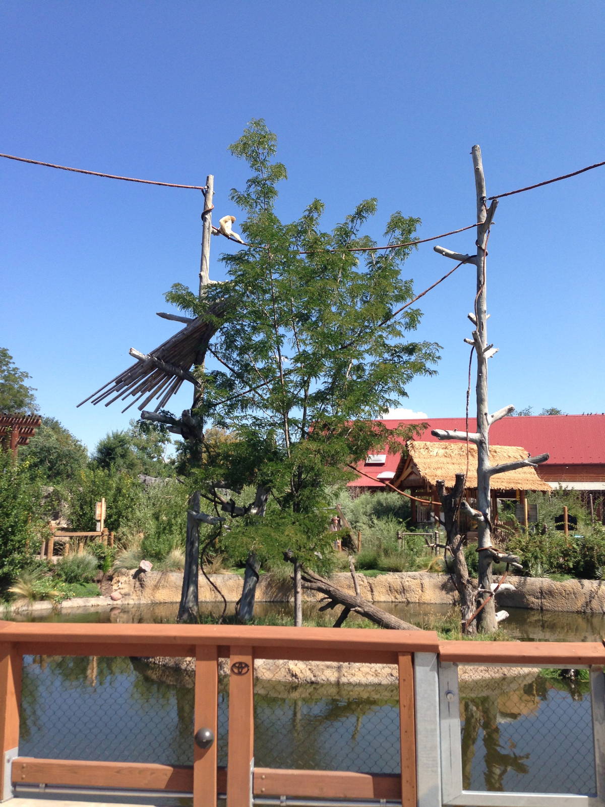 8/24/2014 - Gibbon Island