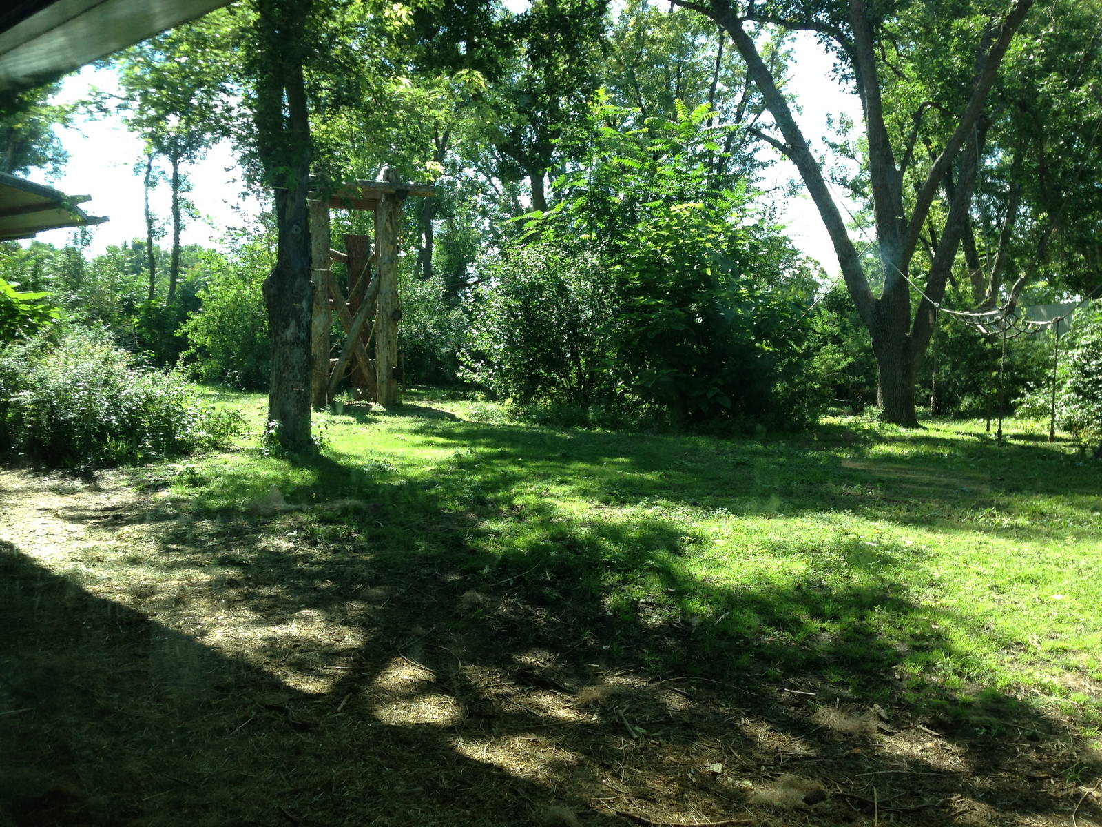8/24/2014 - Left Half of the Gorilla Habitat