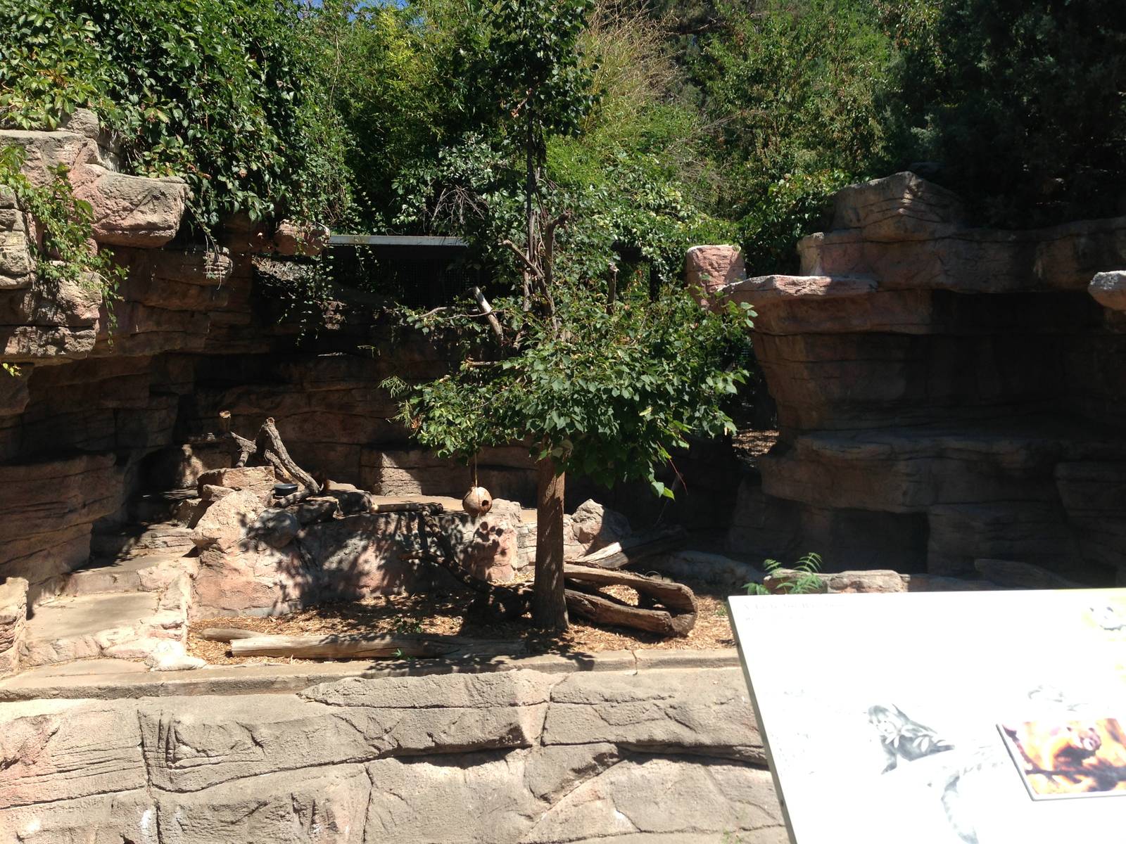 8/24/2014 - Red Panda Grotto