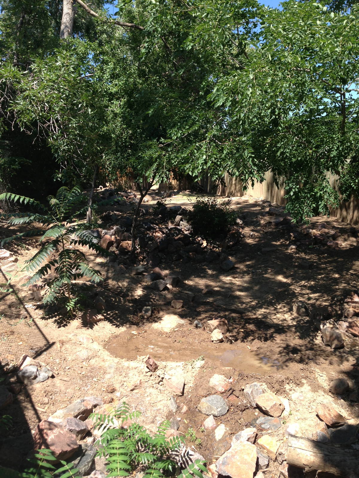 8/24/2014 - Warthog Exhibit