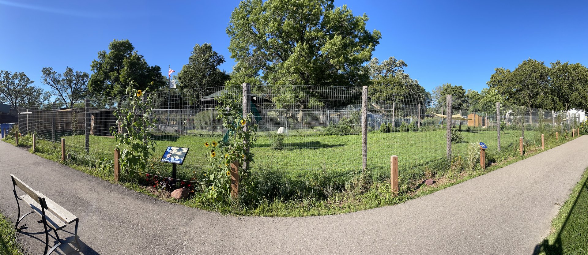 8/29/2022 - Emu Habitat Panorama