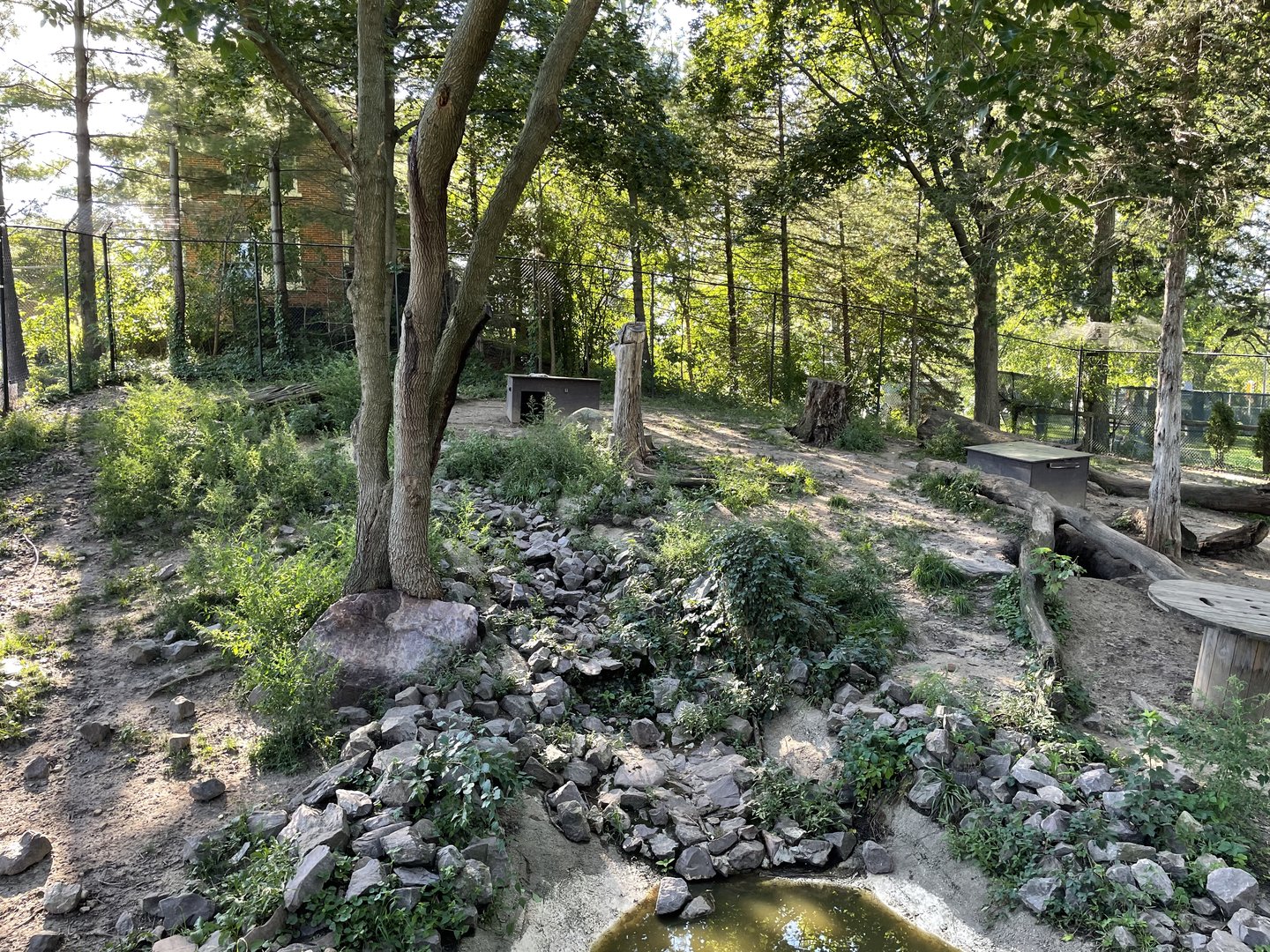 8/29/2022 - Mexican Gray Wolf Habitat