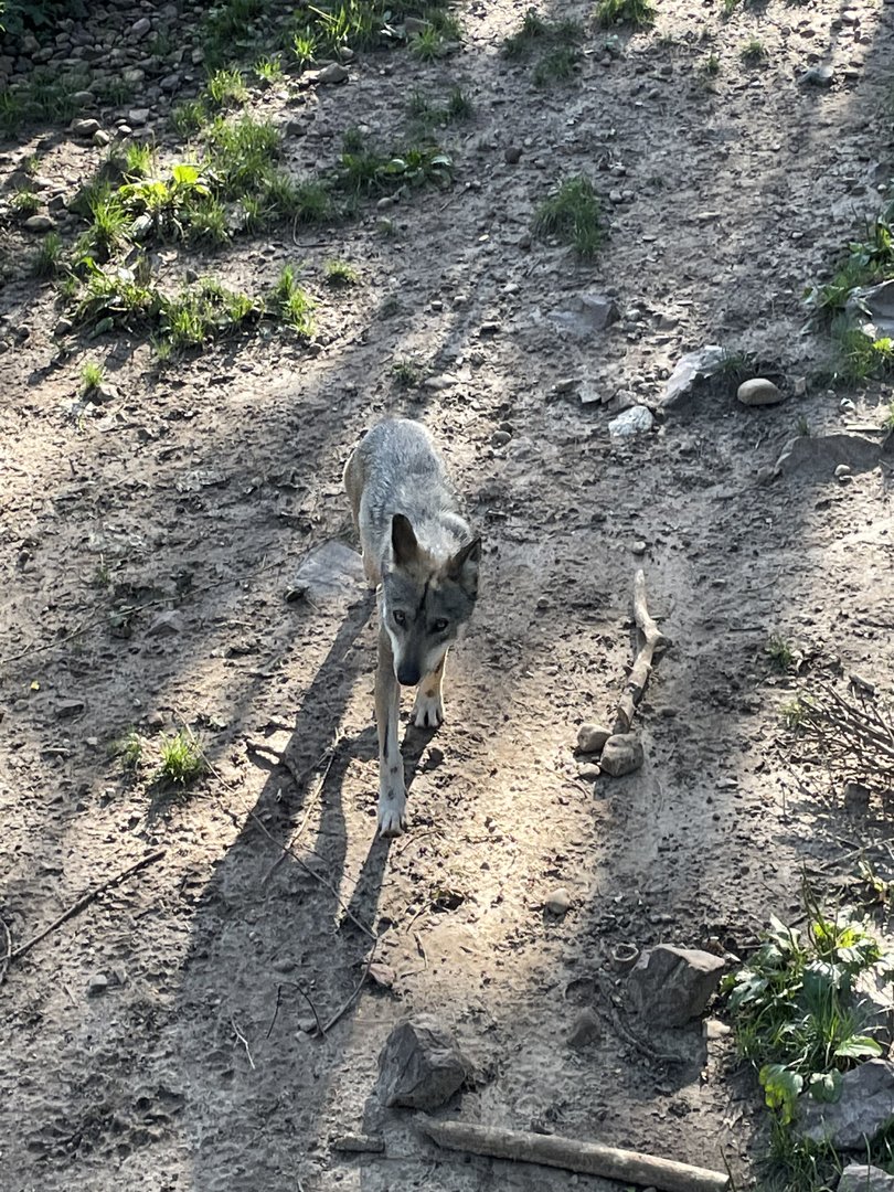 8/29/2022 - On Patrol