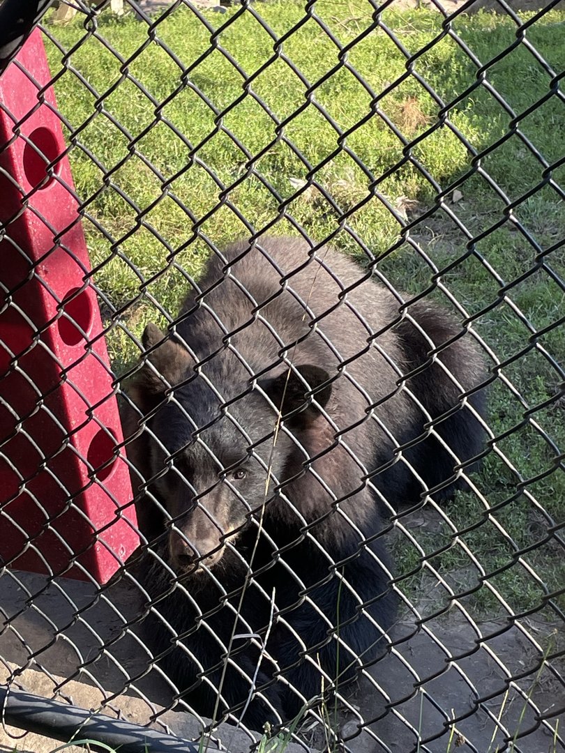 8/29/2022 - Quality Enrichment Time