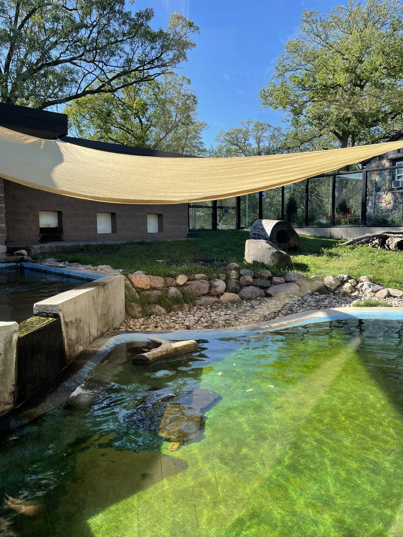 8/29/2022 - River Otter Habitat