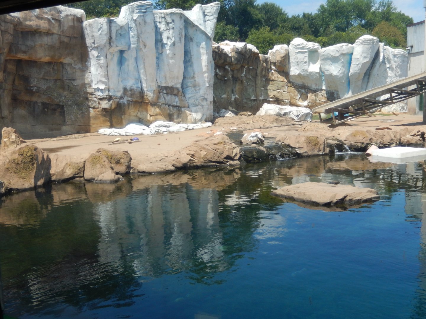 8/4/2017 - Bear Exhibit