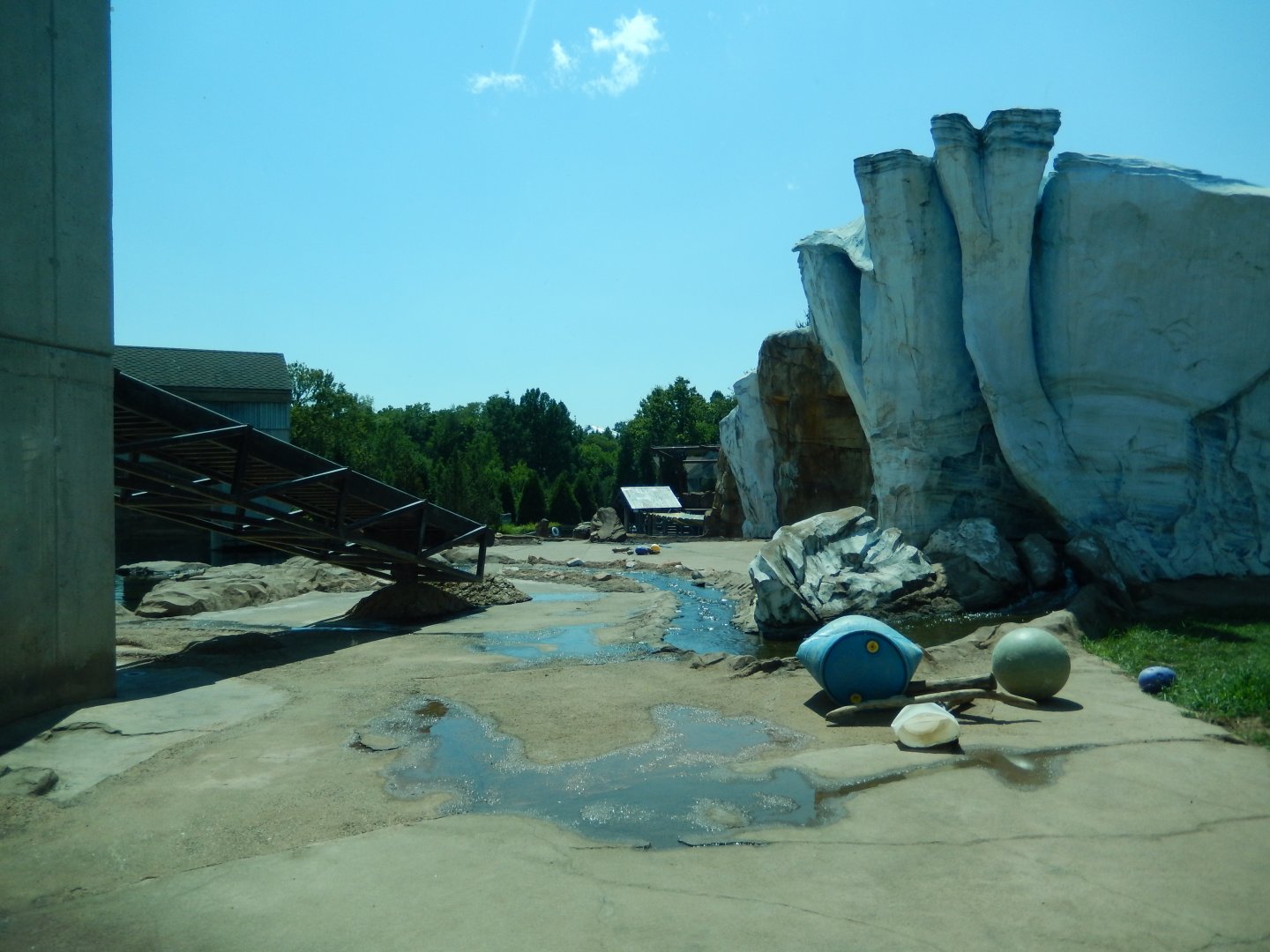 8/4/2017 - Bear Exhibit