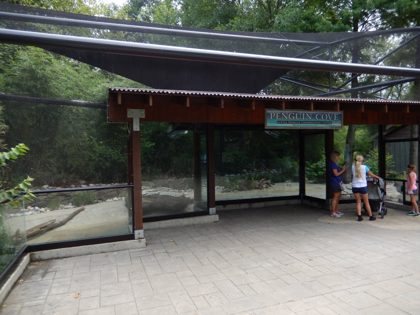8/4/2017 - Blue Penguin Exhibit Viewing Area