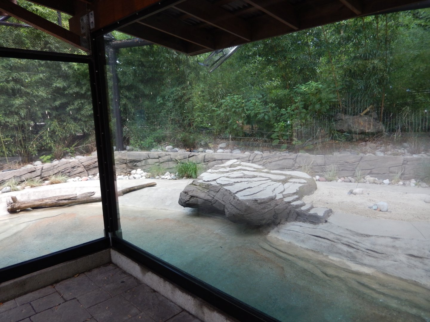 8/4/2017 - Blue Penguin Habitat