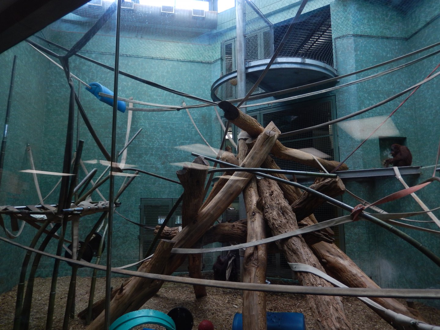 8/4/2017 - Dayroom Rotation Habitat