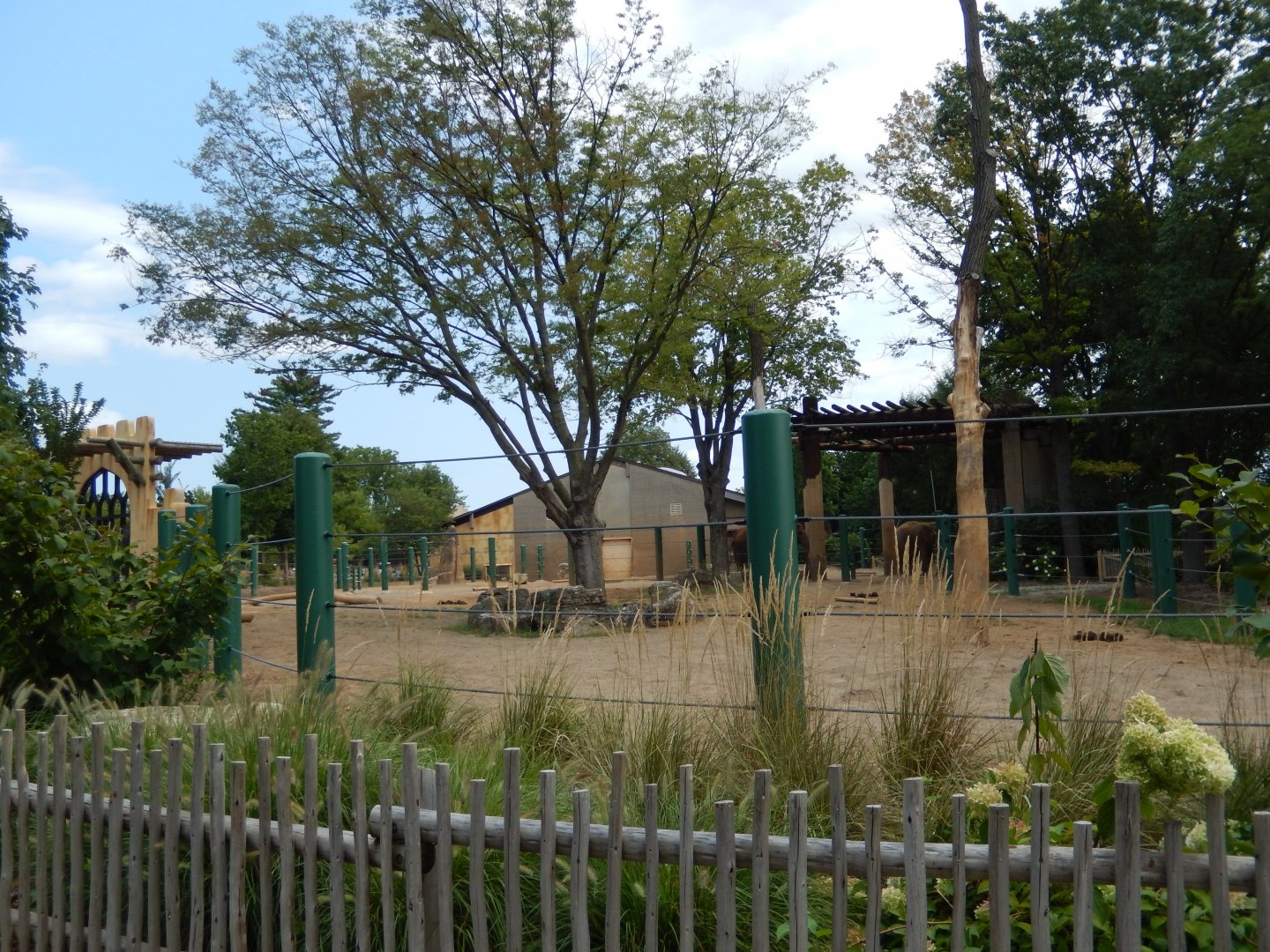 8/4/2017 - Elephant Paddock - New Section