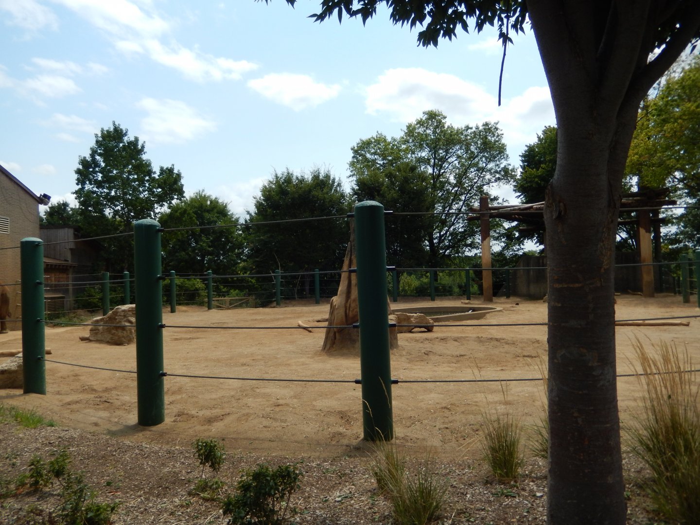 8/4/2017 - Elephant Paddock - Old Section