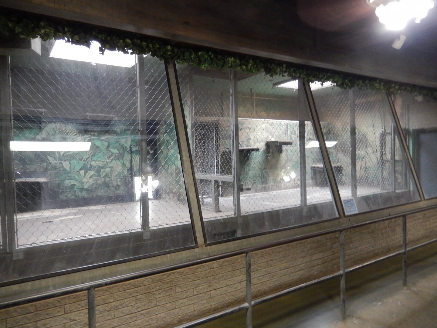 8/4/2017 - Former Woolly Monkey Indoor Area